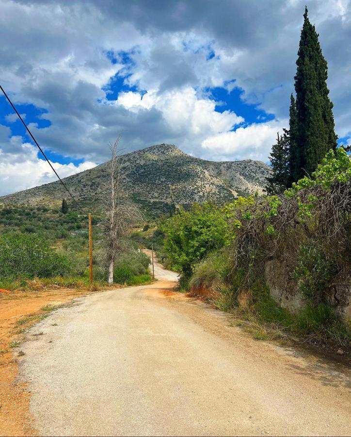 Sunny House At Ancient Mycenae, Close To Nafplio! Mykines 外观 照片